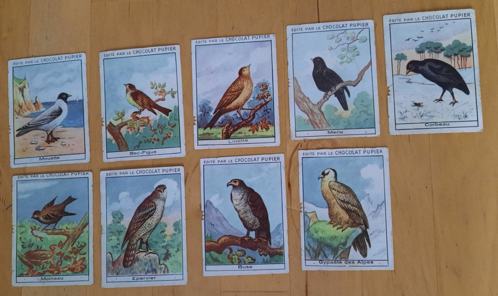 Chocolat Pupier Vogel Plaatjes, Verzamelen, Ophalen of Verzenden