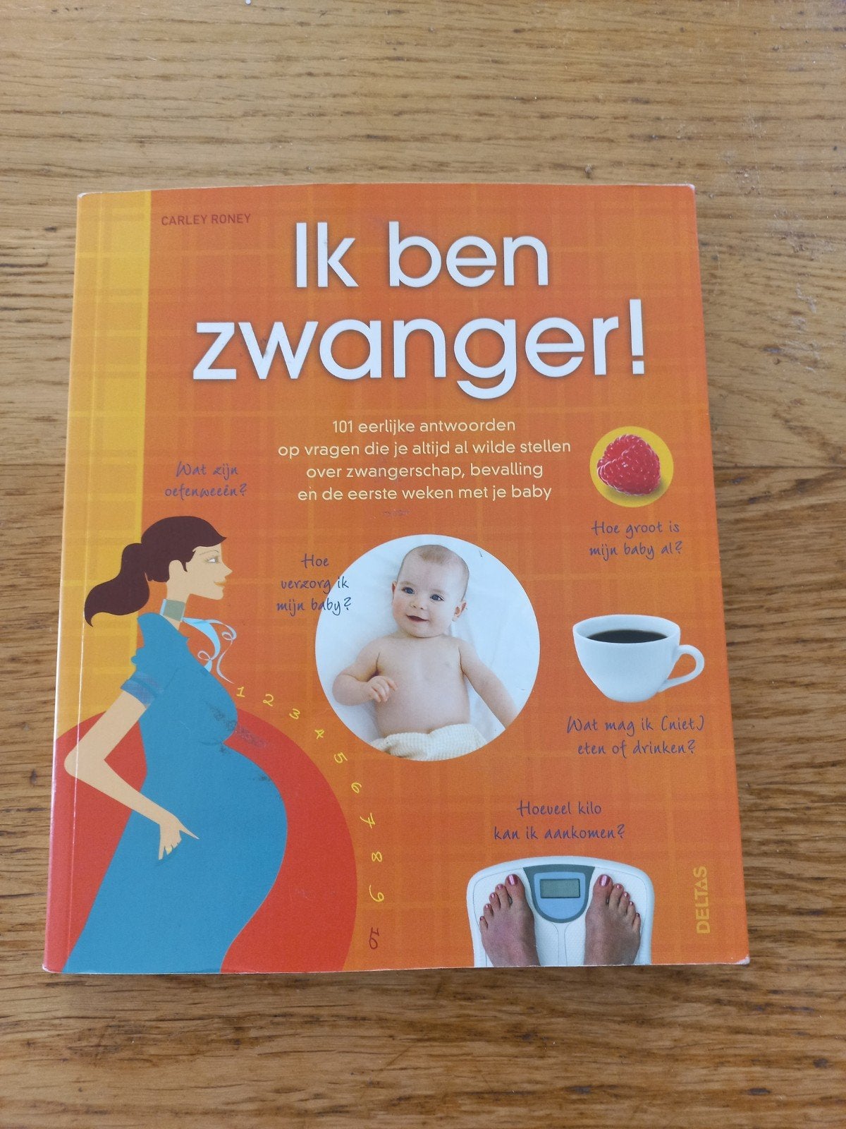 Ik ben zwanger! - Alles over zwangerschap en bevalling, Boeken, Zwangerschap en Opvoeding, Ophalen of Verzenden, Zo goed als nieuw