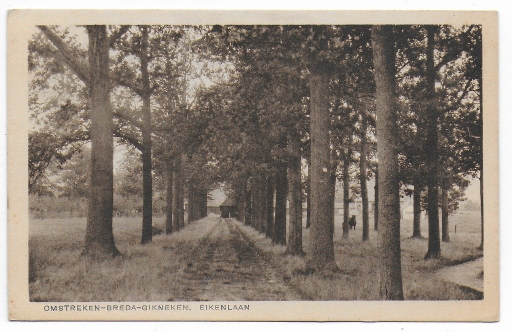 Breda Ginneken Eikenlaan Ansichtkaart ( B8118), Ophalen of Verzenden, 1920 tot 1940, Gelopen, Noord-Brabant
