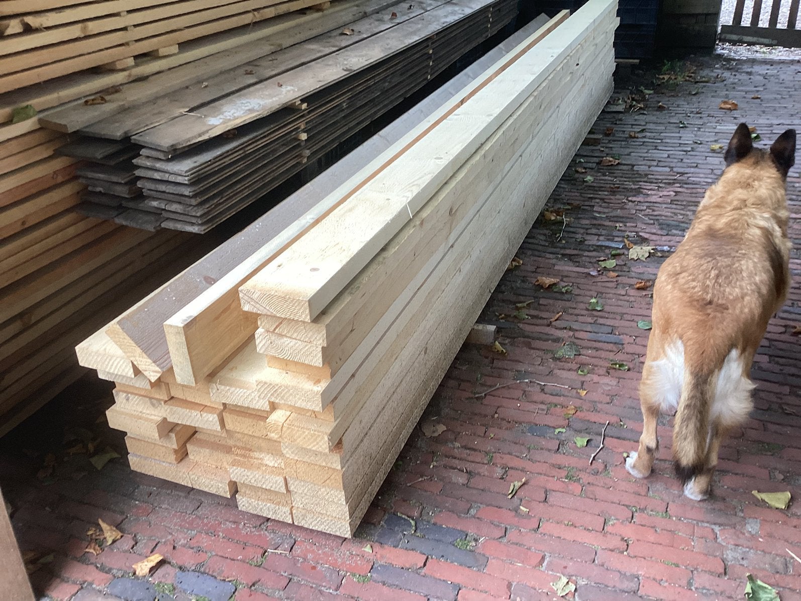 Balken, planken, panlatten multiplex, Nieuw, Ophalen of Verzenden, Balk, 50 mm of meer