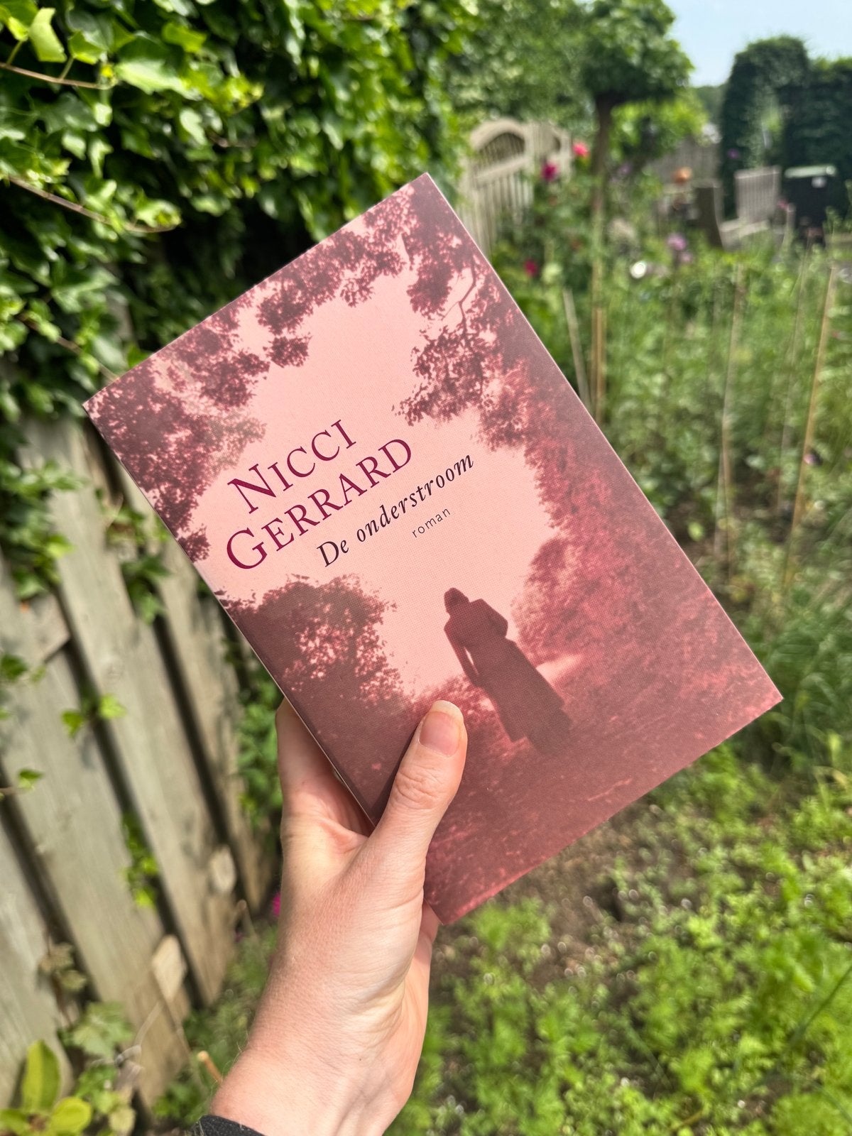 Nicci Gerrard - De onderstroom (roman), Ophalen of Verzenden, Zo goed als nieuw, Nederland