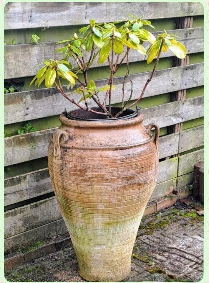 Terracotta Vaas groot GRATIS, Ophalen, Gebruikt, Rond, Terracotta