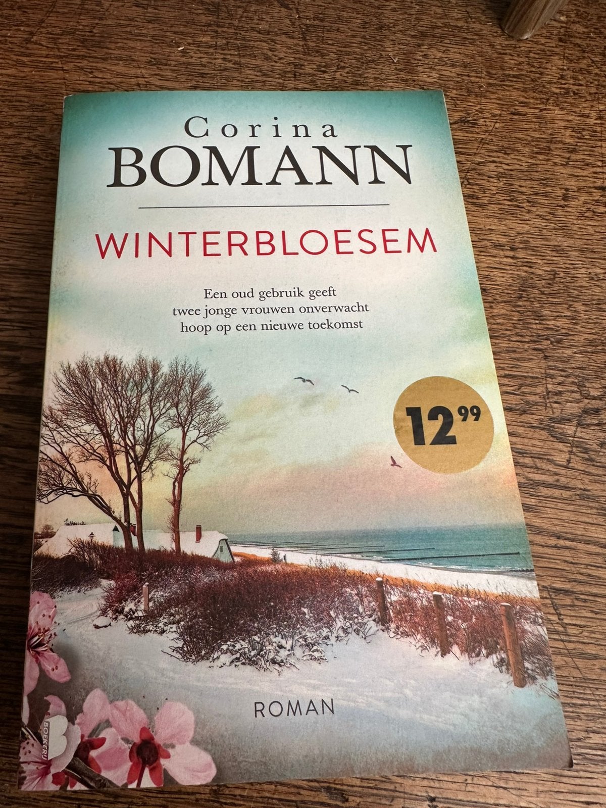 Corina Bomann: 2 titels, Ophalen of Verzenden, Zo goed als nieuw