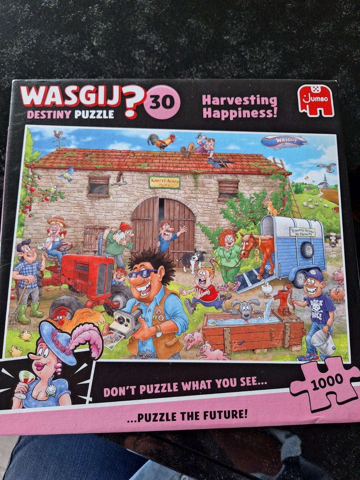 wasgij puzzels, Ophalen of Verzenden, 500 t/m 1500 stukjes, Zo goed als nieuw, Legpuzzel