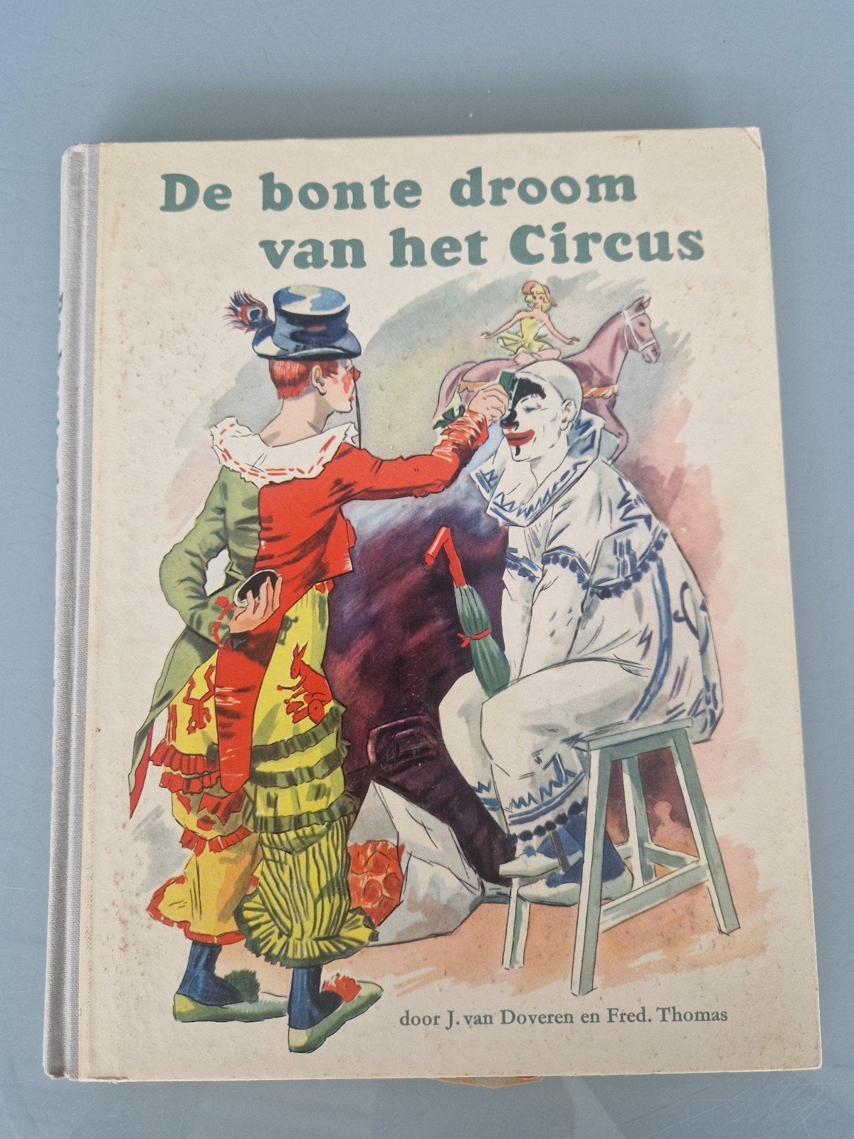 De Bonte Droom van het Circus, Ophalen of Verzenden, Gelezen, Non-fictie