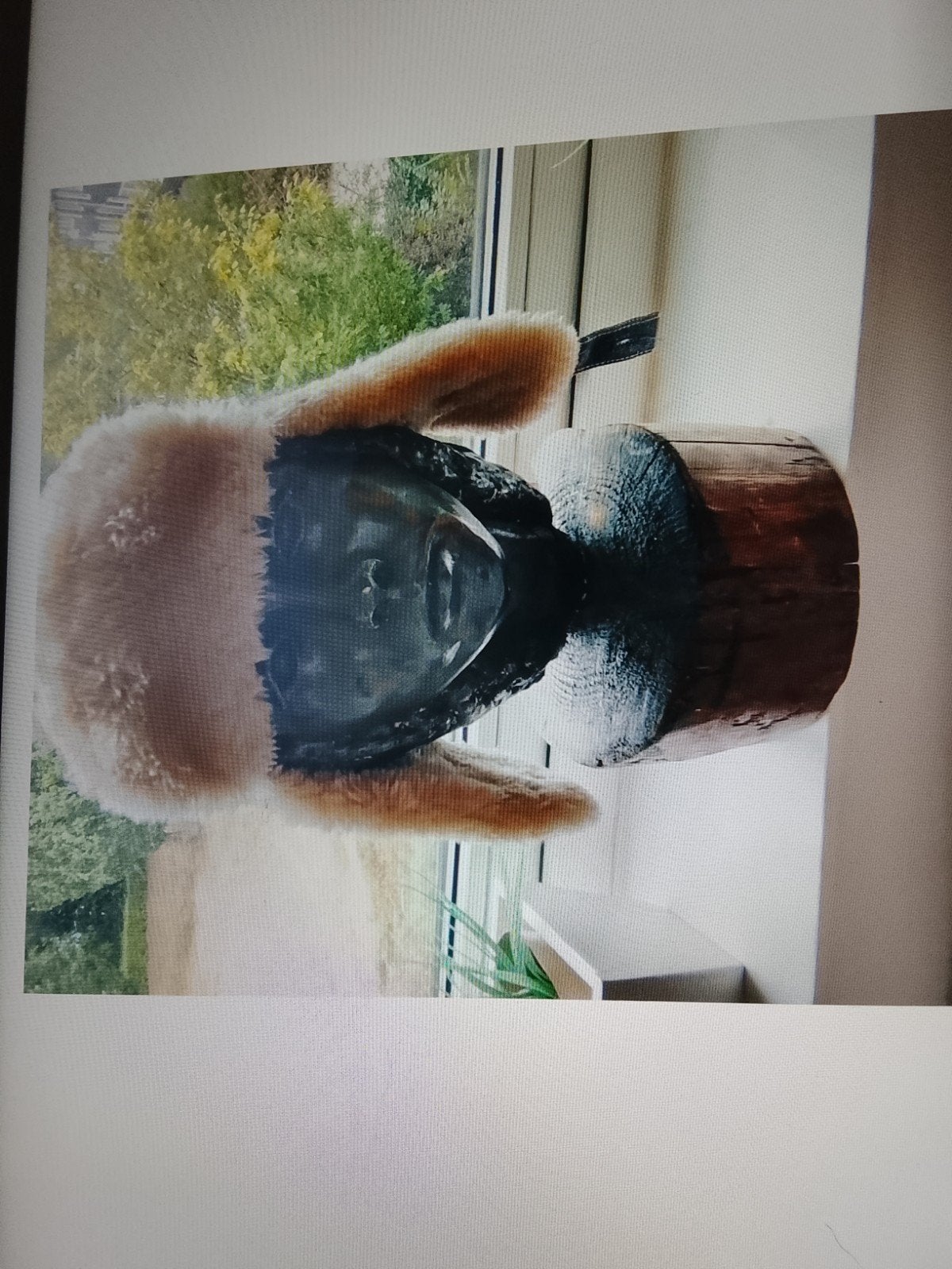 te koop een warme muts voor de winter van het merk g-star, G star, Ophalen of Verzenden, Zo goed als nieuw, Muts