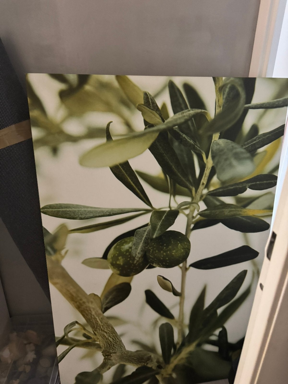 Canvas wanddecoratie olijftak met olijven, Ophalen, Zo goed als nieuw