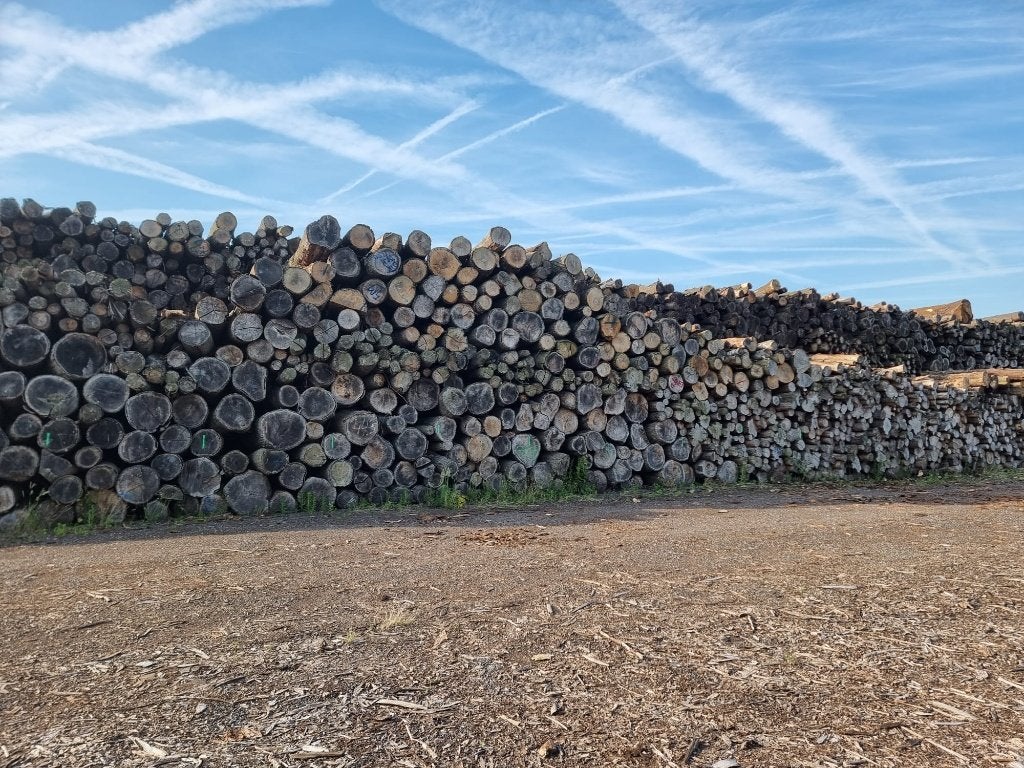 Rondhout, stamhout, haardhout, openhaardhout, eik, beuk, es, 6 m³ of meer, Ophalen, Beukenhout, Stammen