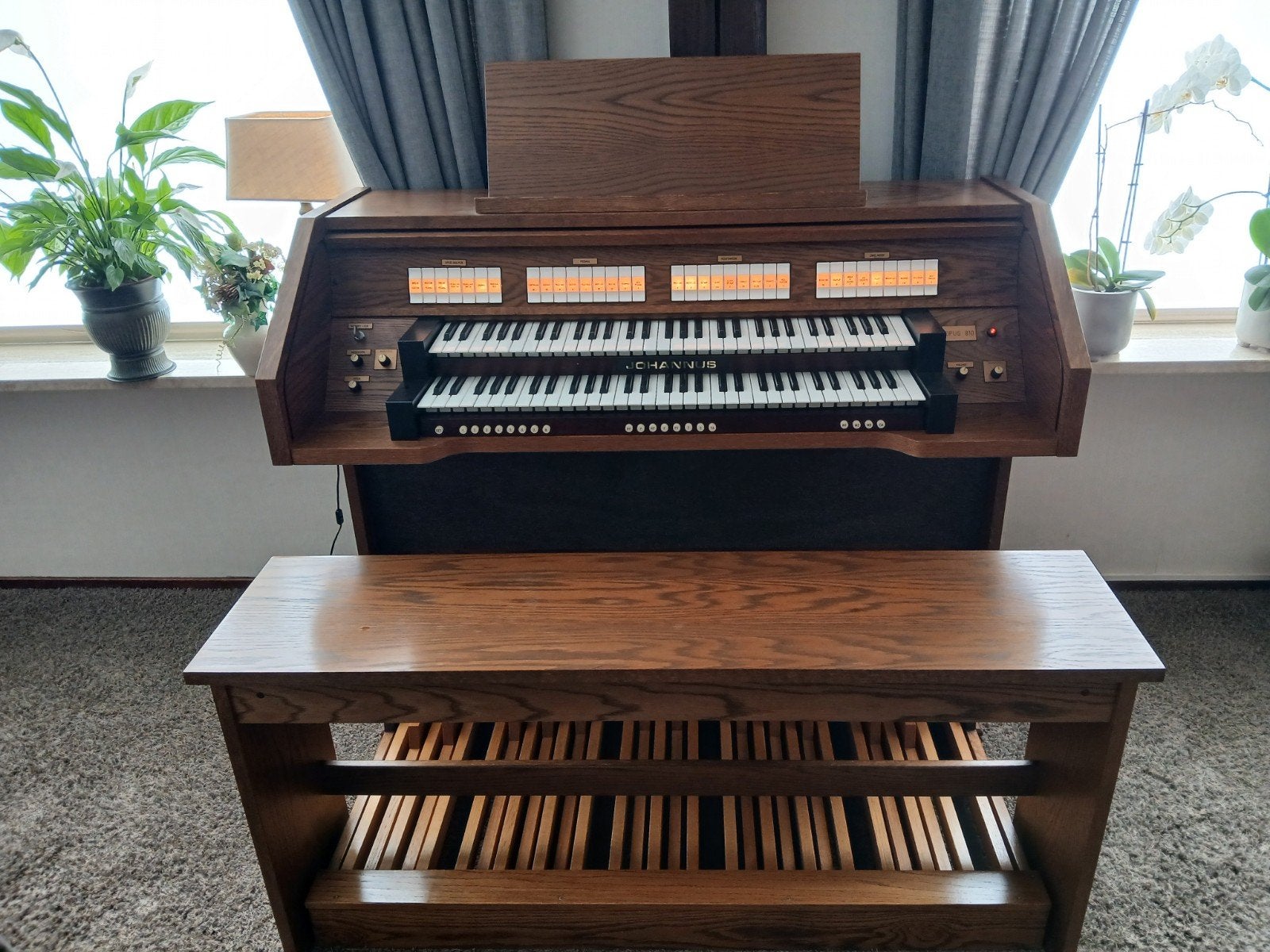 Johannes Opus 810, Ophalen of Verzenden, Gebruikt, 2 klavieren, Orgel