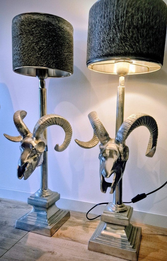 Set colmore skull lampen, Huis en Inrichting, Ophalen, Overige typen, Overige merken, Overige stijlen