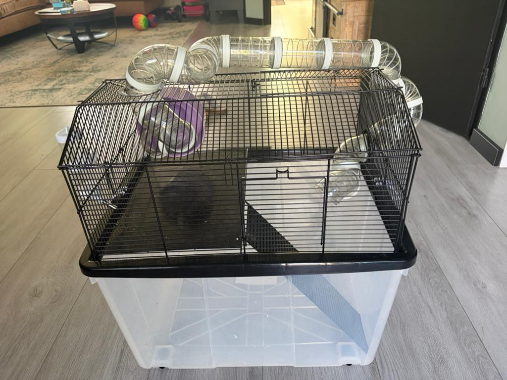 Kooi voor hamster, Dieren en Toebehoren, Ophalen, Zo goed als nieuw, Loopwiel of Rad