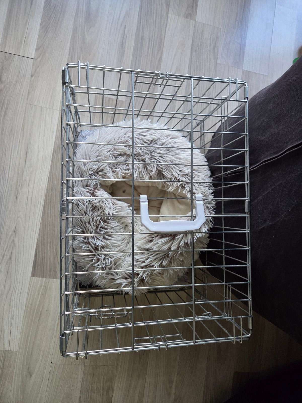 kleine bench voor puppy of kleine hond, Ophalen, Gebruikt