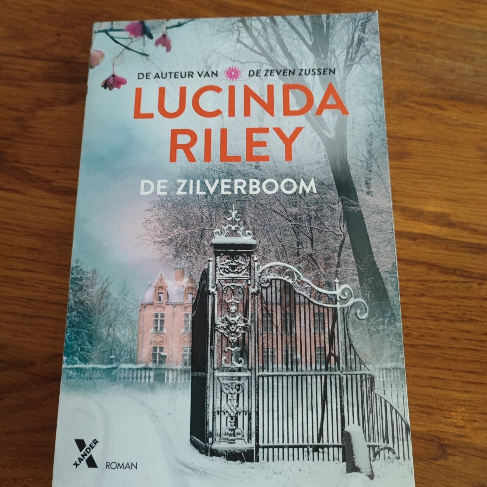 Lucinda Riley - De zilverboom, Ophalen of Verzenden, Zo goed als nieuw, Lucinda Riley