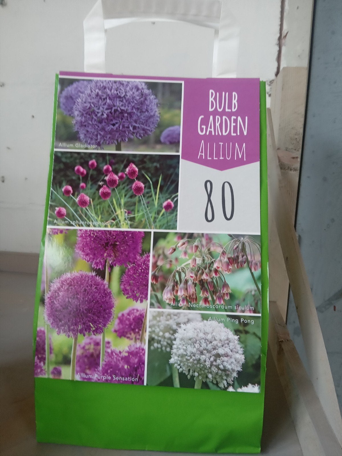 Bulb Garden Allium - 80 Bloembollen voor een kleurrijke tuin, Ophalen of Verzenden, Najaar, Volle zon, Bloembol