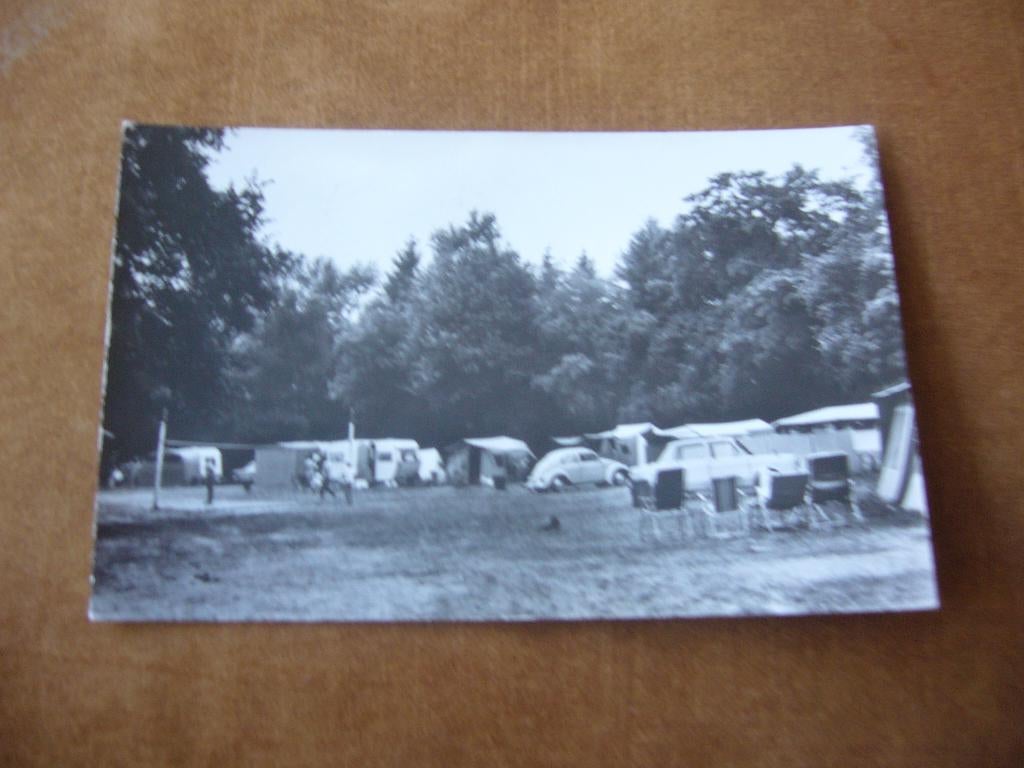 OMMEN  =  CAMPING DE KOEKSEBELT, Ophalen of Verzenden, 1940 tot 1960, Gelopen, Overijssel