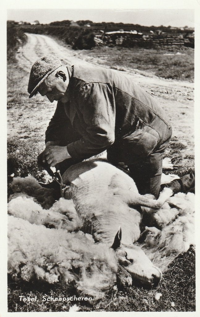 Texel, Ophalen of Verzenden, 1940 tot 1960, Gelopen, Waddeneilanden