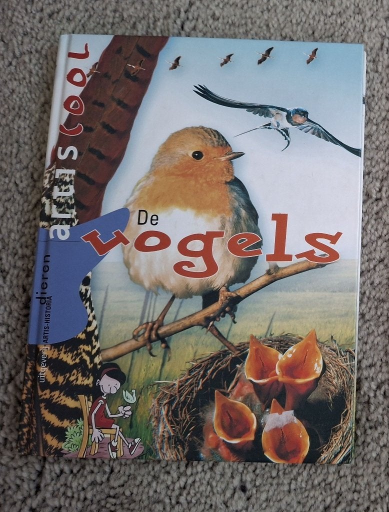 Artiscool De Vogels, Ophalen, Zo goed als nieuw