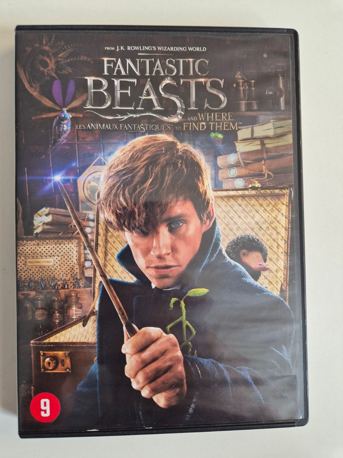 Fantastic Beasts and Where to Find Them - DVD, Ophalen of Verzenden, Zo goed als nieuw, Inclusief doosje, Nederlands