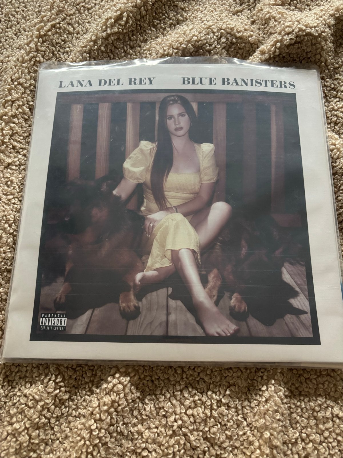 Lana Del Rey - Blue Banisters Dubbel-LP, Ophalen, Pop, Nieuw in verpakking, Dubbel-LP