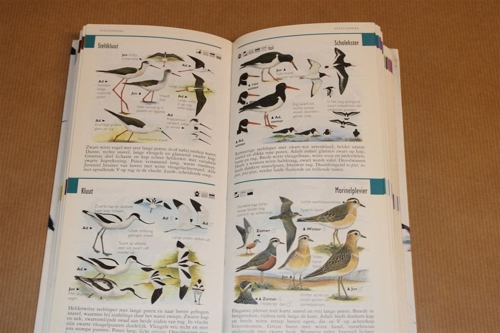 Nieuwe Zakgids Vogels — Hayman — Rijk Geïllustreerd, Boeken, Ophalen of Verzenden, Gelezen, Vogels