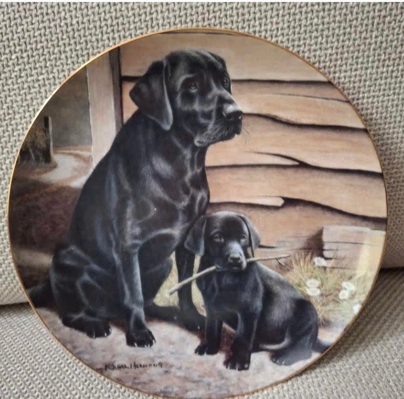 Franklin Mint Sierbord 'Like Father, Like Son' Labrador, Ophalen of Verzenden