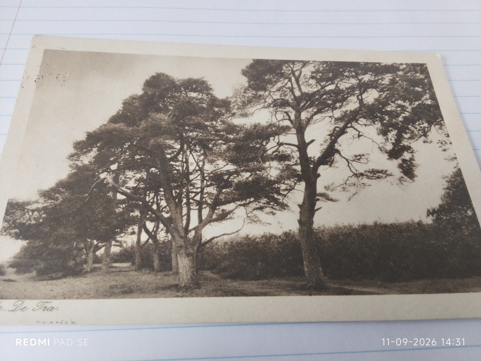 Oude ansichtkaart Ede De Tra. Gelopen 1929, Verzamelen, Ophalen of Verzenden, 1920 tot 1940, Gelderland