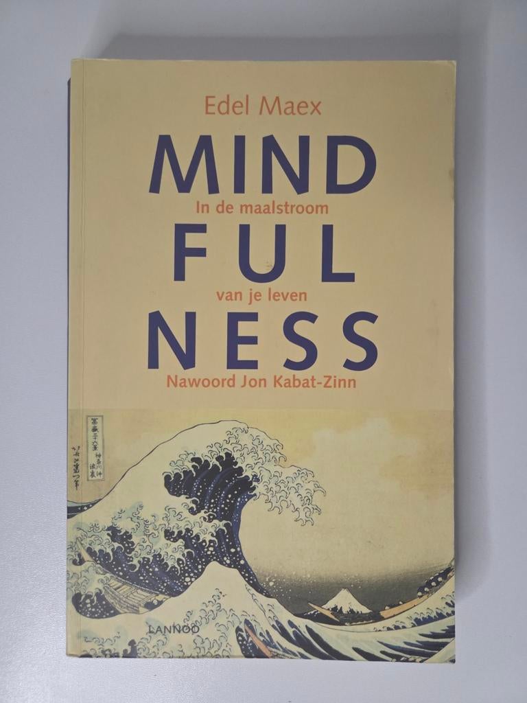 Mindfulness | Edel Maex | Bestseller | Rust & Meditatie, Boeken, Meditatie of Yoga, Zo goed als nieuw, Instructieboek, Edel Maex