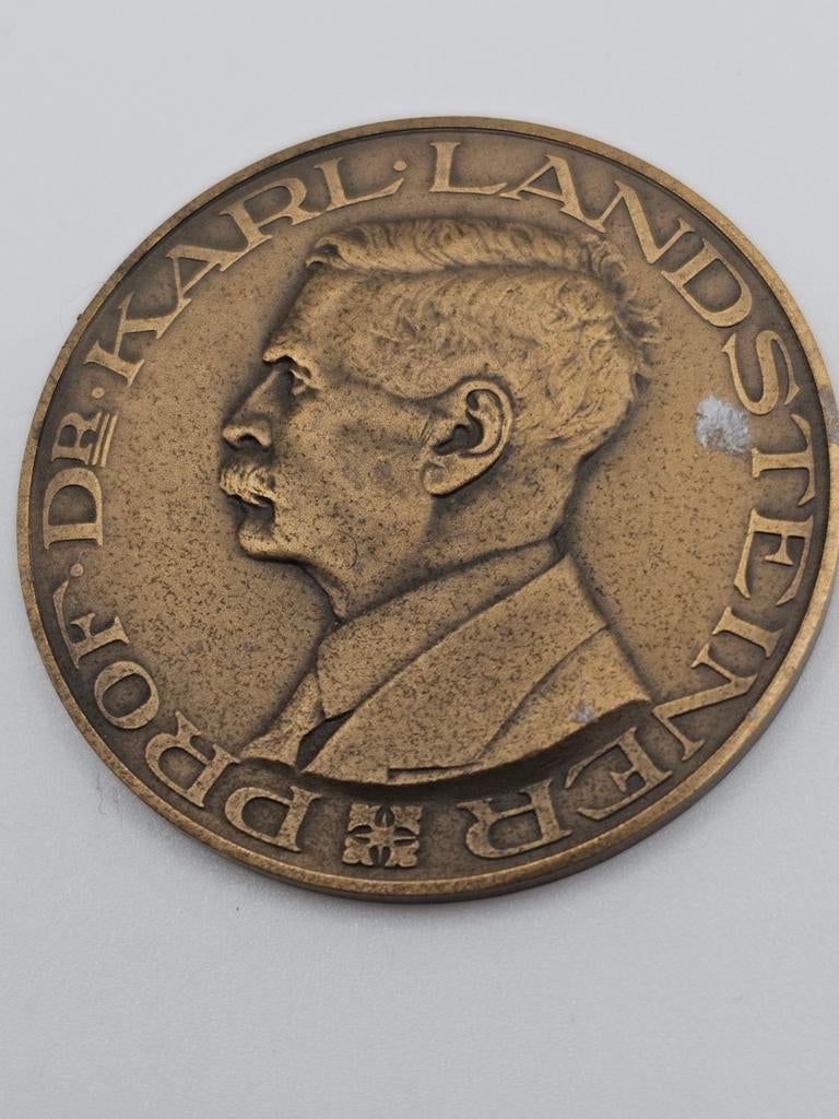 Medaille Prof. Dr. Karl Landsteiner - Nederlandse Rode Kruis, Ophalen of Verzenden