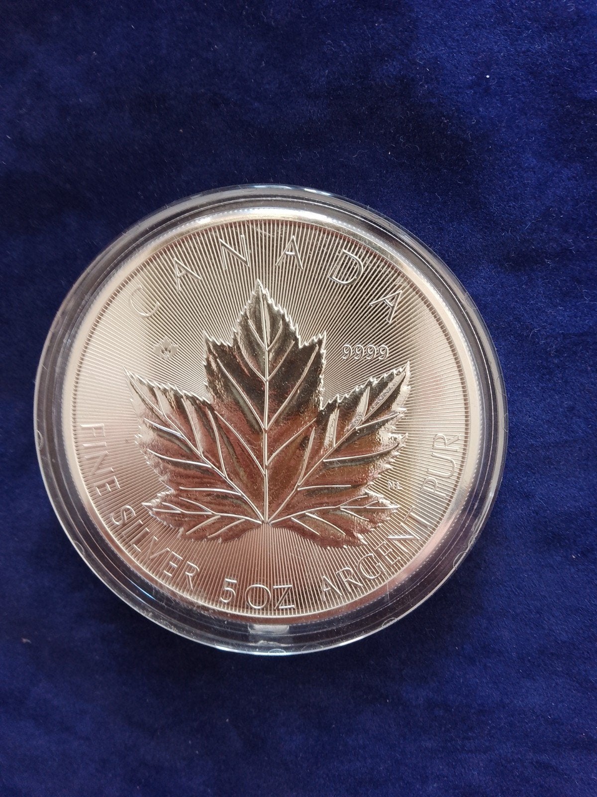 5 oz zilver Maple Leaf 2026, Ophalen of Verzenden, Noord-Amerika, Zilver