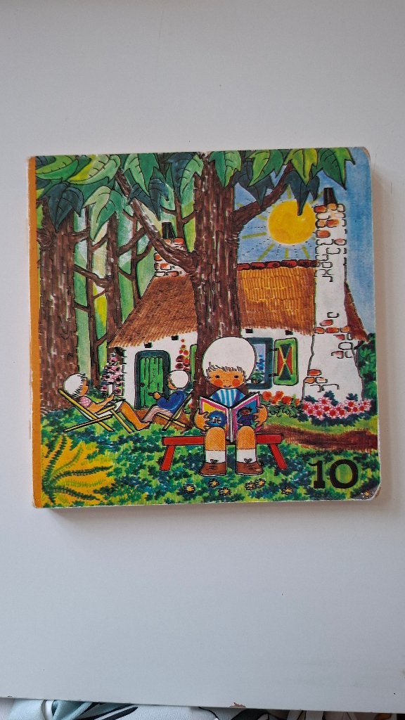 Vintage Botje boekje serie 1, deel 10 uit 1975., Boeken, Gelezen, Fictie algemeen, Ophalen of Verzenden, Maaike Jansma