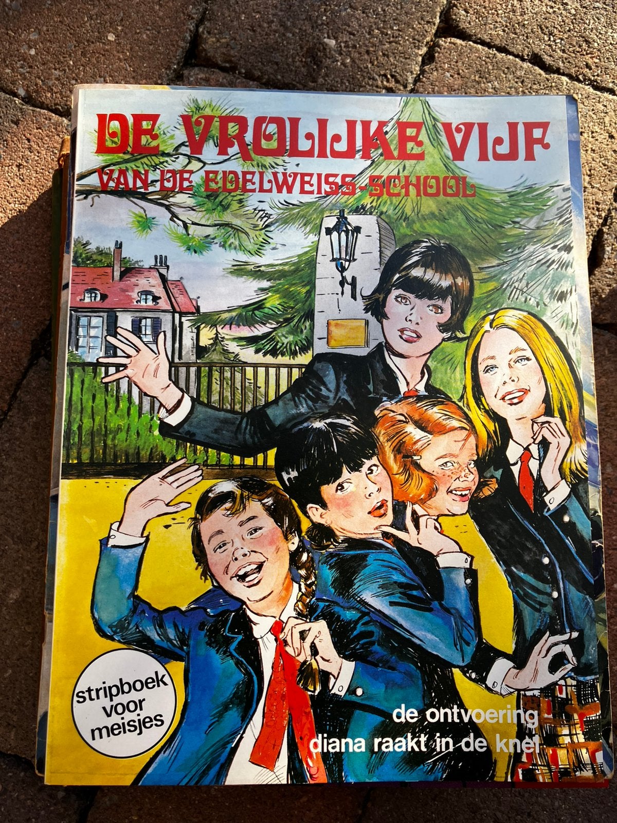 De vrolijke vijf van de edelweiss school, jaren ‘70 strip, Eén comic, Ophalen of Verzenden, Zo goed als nieuw, Europa