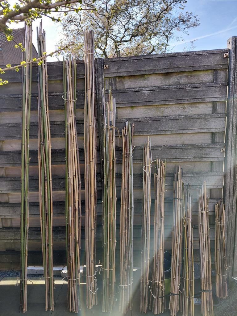 Bamboestokken, Tuin en Terras, Kweekspullen, Ophalen