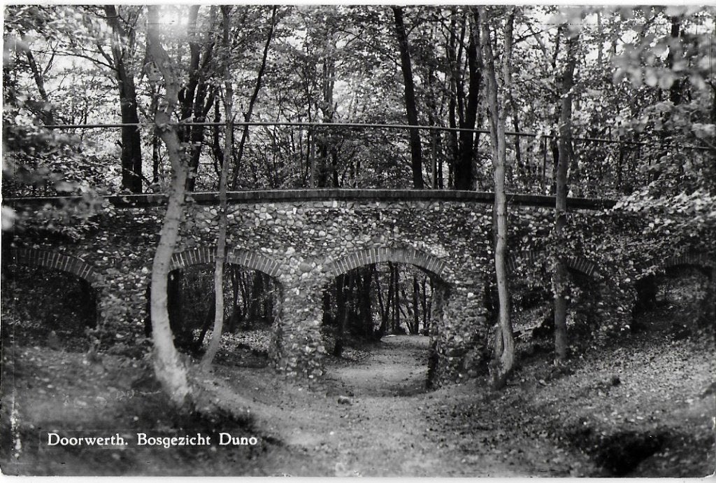 Doorwerth Bosgezicht Duno Oude gelopen Ansichtkaart( B1721 ), Ophalen of Verzenden, Voor 1920, Gelopen