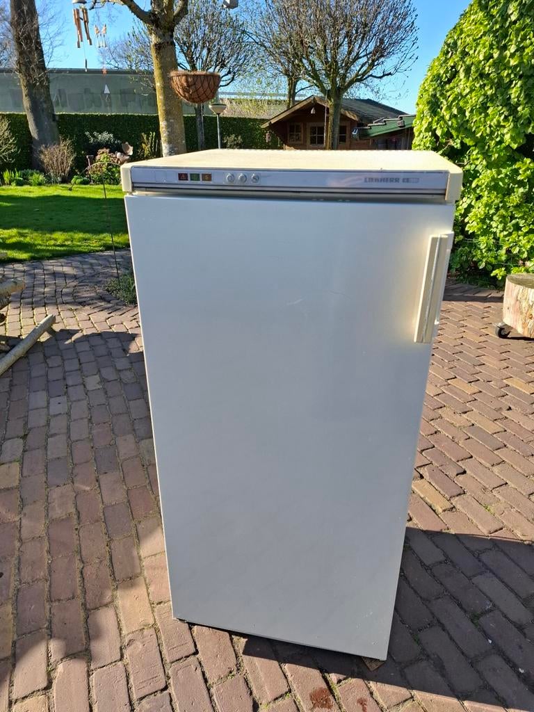 Liebherr Vrieskast met 6 Lades - 130x60x60 cm, Witgoed en Apparatuur, Vriezers en Diepvrieskisten, Gebruikt, 120 tot 140 cm, Ophalen