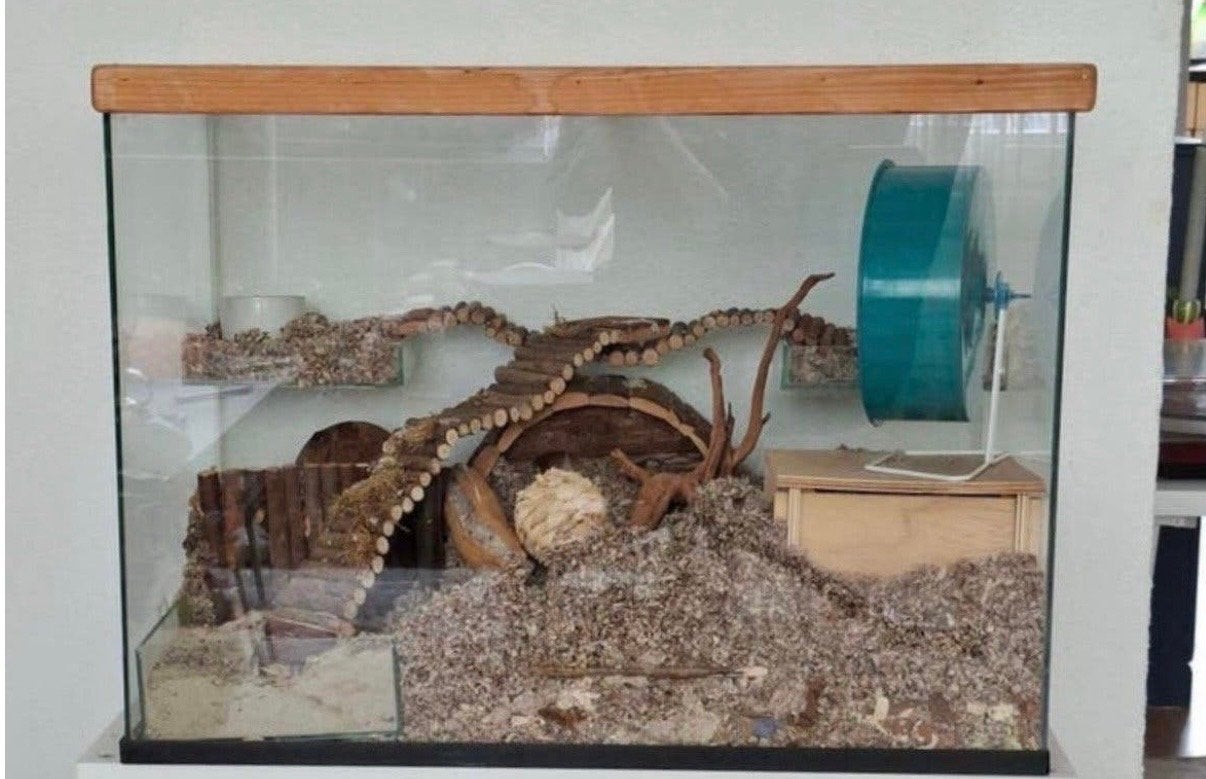 Mooi hamsterterrarium te koop!, Ophalen, Zo goed als nieuw, Overige typen