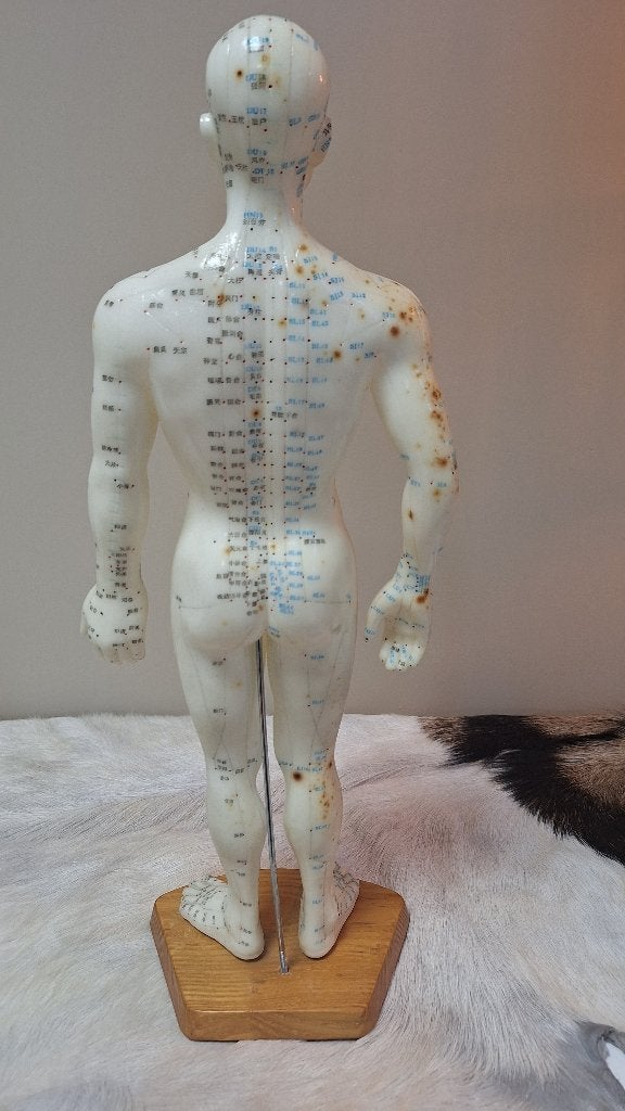 Acupunctuurpop, Ophalen, Gebruikt, Meerdere media, Welzijn en Spiritualiteit