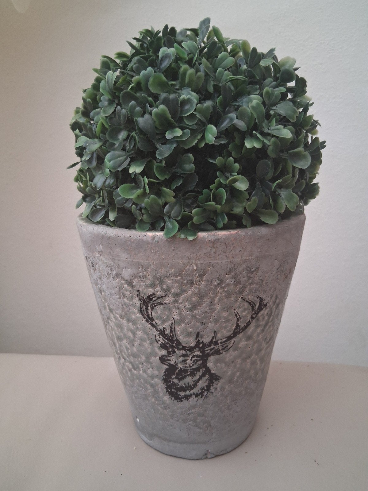 Bloempot met buxusbol, Gebruikt, Ophalen of Verzenden, Landelijk, Grijs