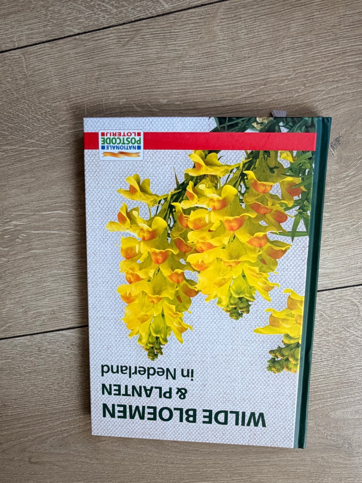 Wilde Bloemen & Planten in Nederland - Natuurgids, Ophalen, Zo goed als nieuw, Bloemen, Planten en Bomen
