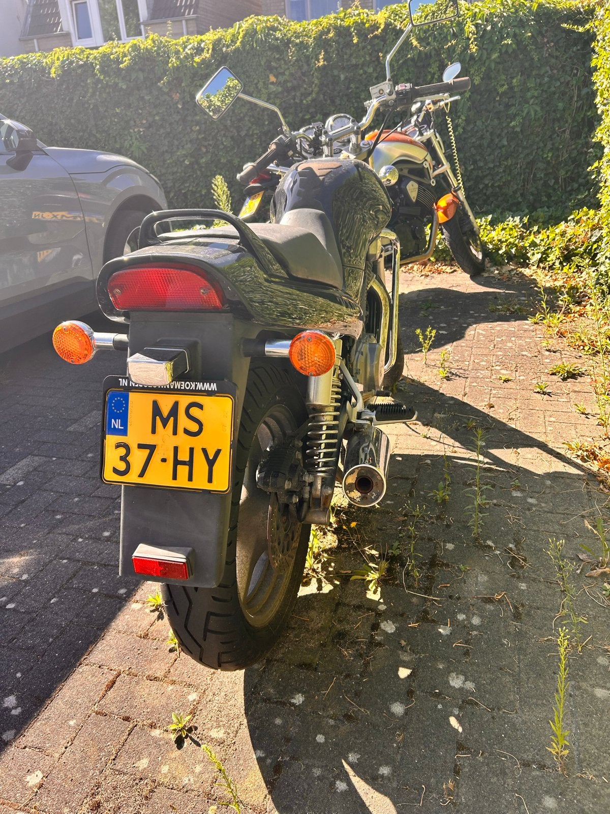 Suzuki VX 800 - Leuke motor, lage kilometerstand, Cardan-aandrijving, 2 cilinders, Motorrijbewijs A, Gebruikt