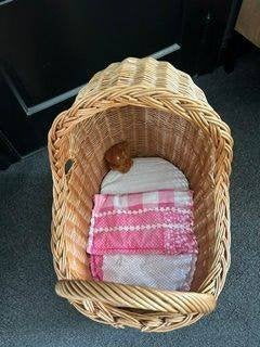 Rieten poppenwagen met kap en beddengoed, Ophalen, Zo goed als nieuw, Babypop