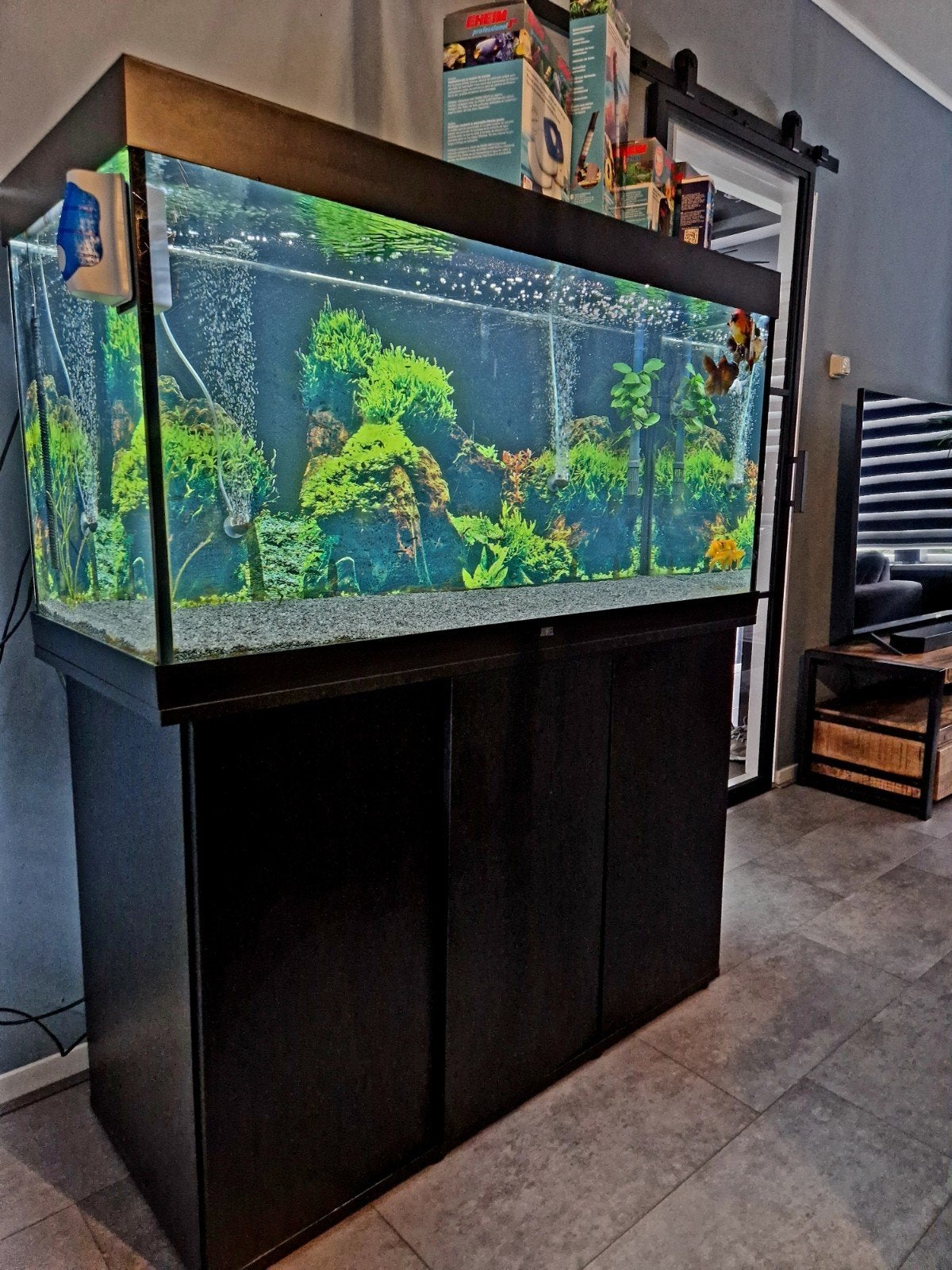 Mooi juwel aquarium rio 350 met vissen! En toebehoren!, Dieren en Toebehoren, Ophalen, Gevuld zoetwateraquarium