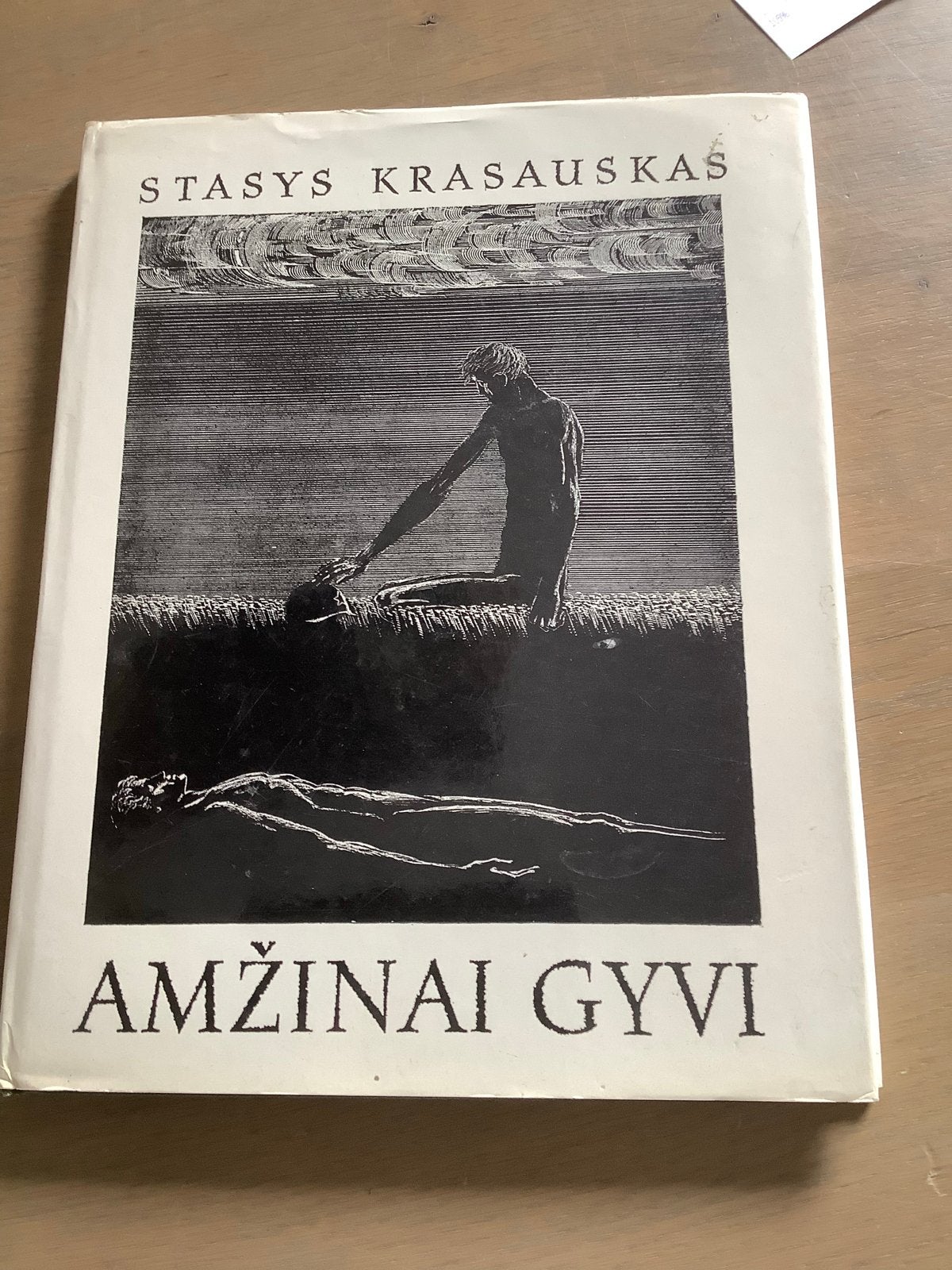 Amžinai Gyvi - Stasys Krasauskas (1977), Ophalen of Verzenden, Gelezen, Europa overig