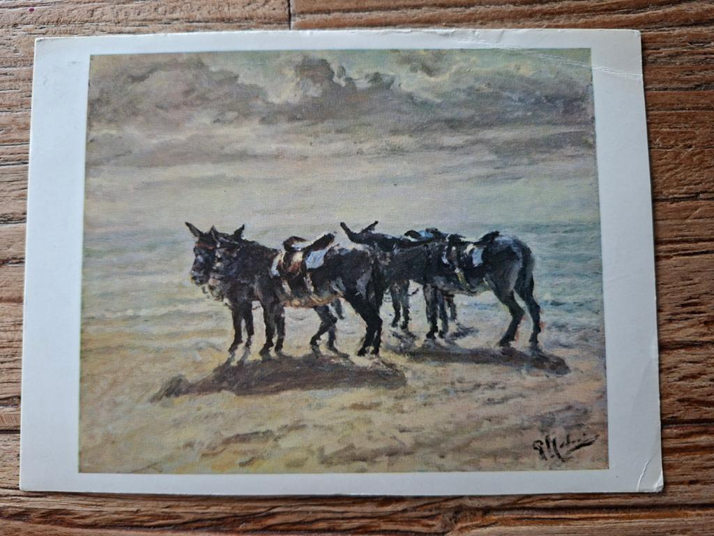 Oude ansichtkaart: Ezels aan Zee (P. Moleveld), Ophalen of Verzenden, 1960 tot 1980, Gelopen, Zuid-Holland