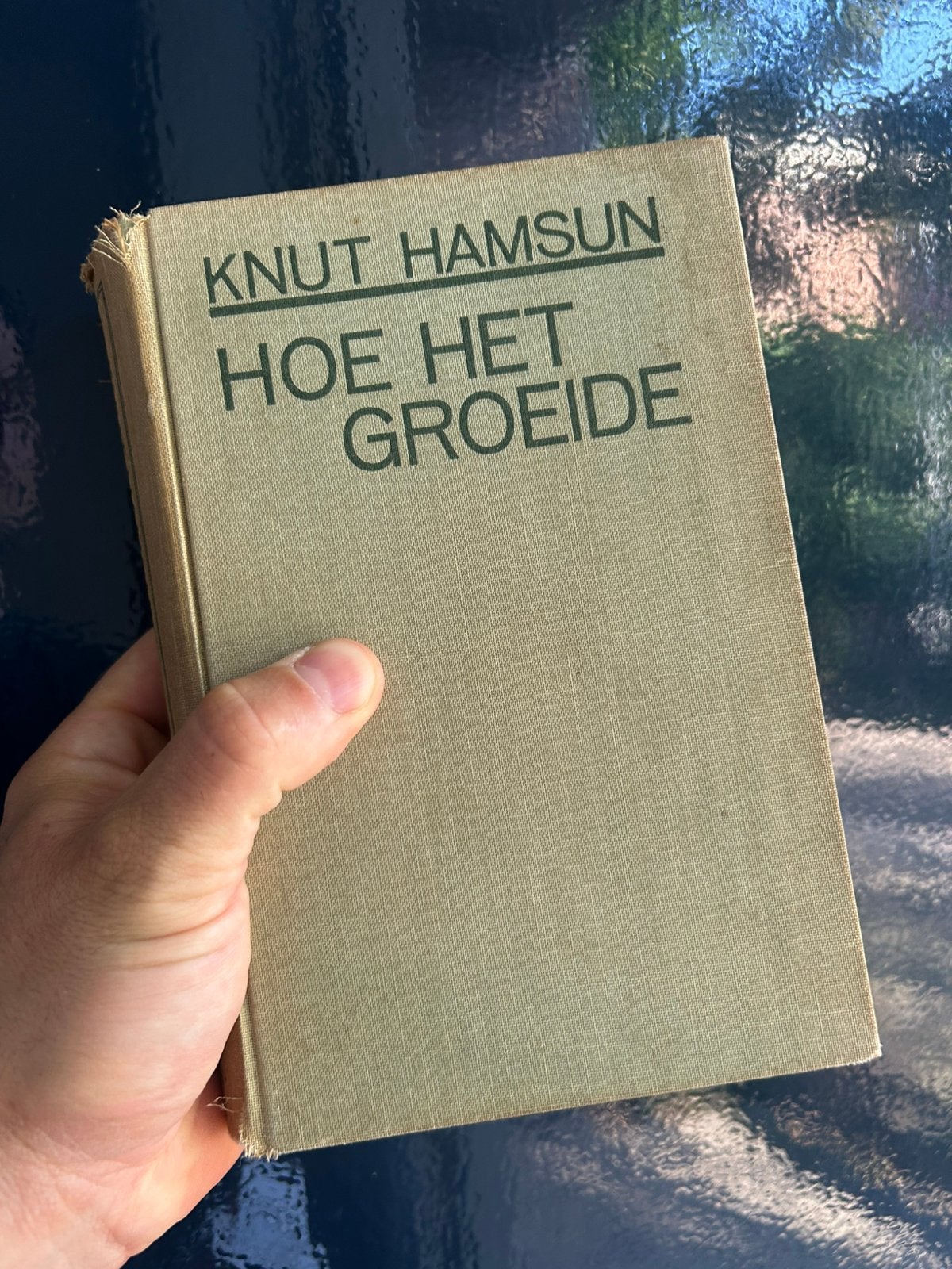 Knut Hamsun - Hoe Het Groeide - Antiek 1935 Nobelprijs, Ophalen of Verzenden
