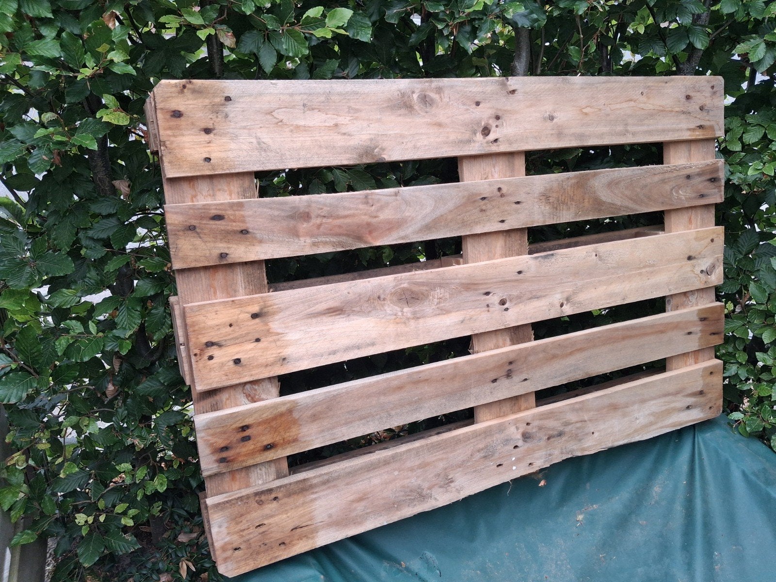 Pallet, Ophalen, Minder dan 25 mm, Minder dan 200 cm, Vuren