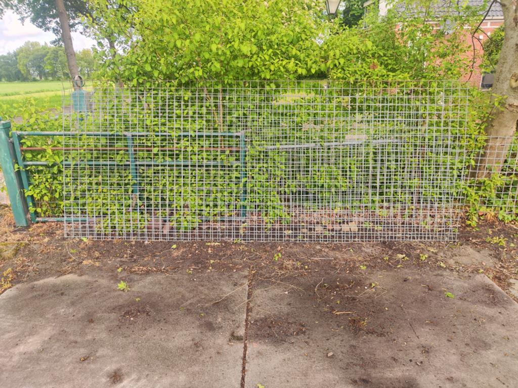 2 netten verzinkt betongaas 5 mm dik. Nieuw., Tuin en Terras, Ophalen of Verzenden, Nieuw, Minder dan 10 meter