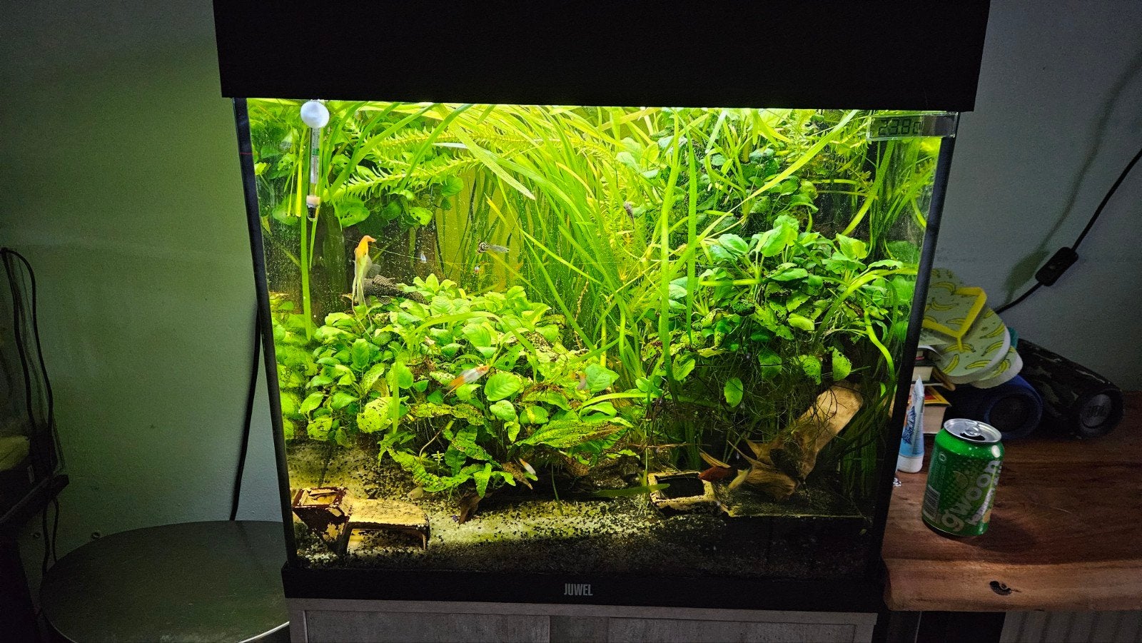 Juwel Lido 120 LED Aquarium (61 cm)  LEEG, Dieren en Toebehoren, Ophalen, Zo goed als nieuw, Leeg aquarium, Verwarming