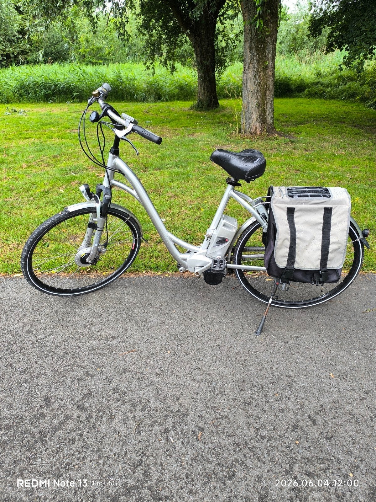 Elektrische fiets Flyer, Fietsen en Brommers, Elektrische fietsen, Ophalen of Verzenden, Gebruikt, Overige merken
