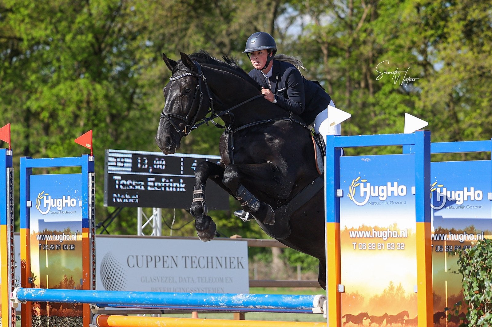 8 jarige zwarte spring merrie, Dieren en Toebehoren, Merrie, Springpaard, 170 tot 175 cm, 7 tot 10 jaar