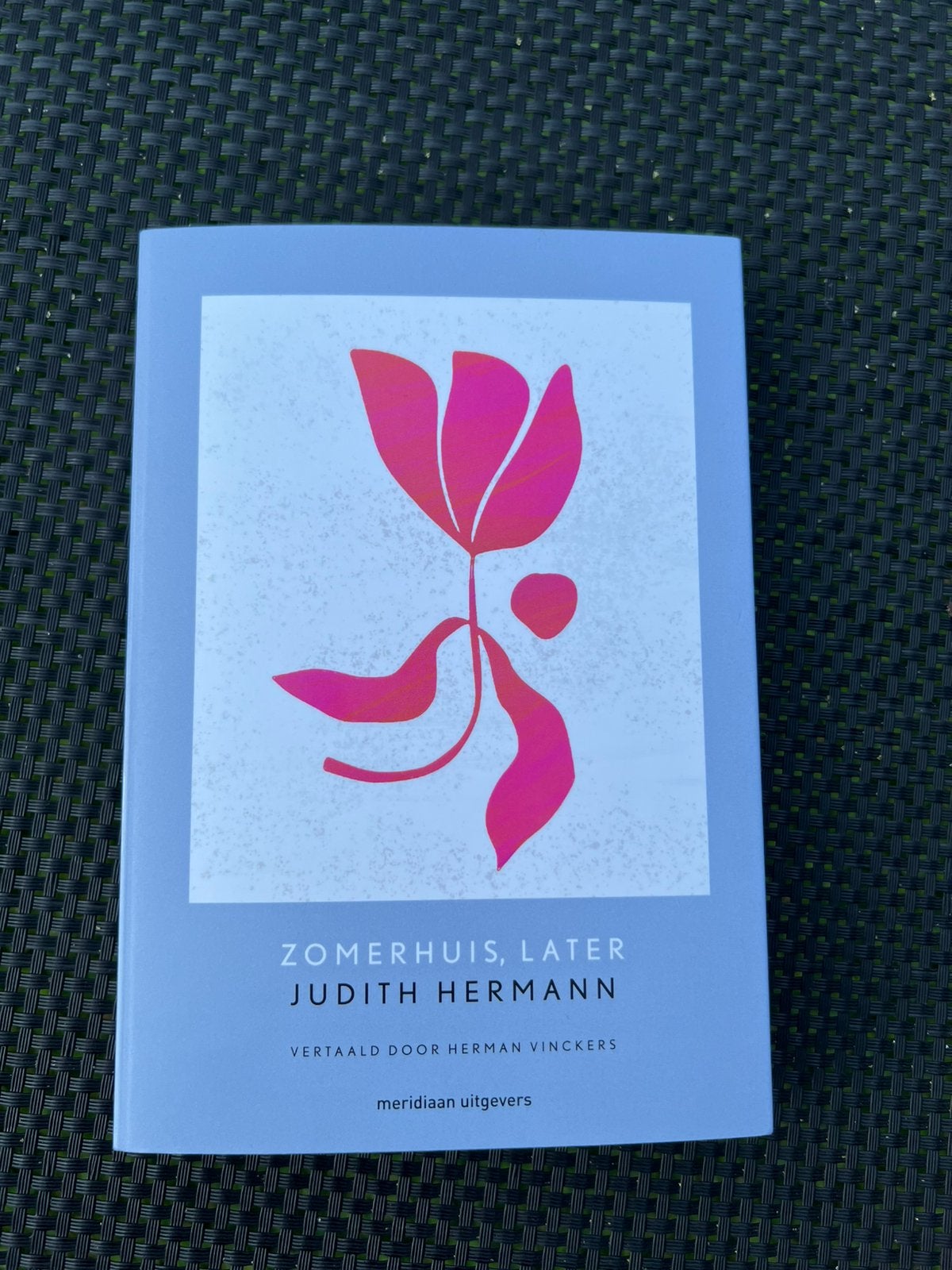 Judith Hermann - Zomerhuis, later, Ophalen of Verzenden, Zo goed als nieuw, Judith Hermann